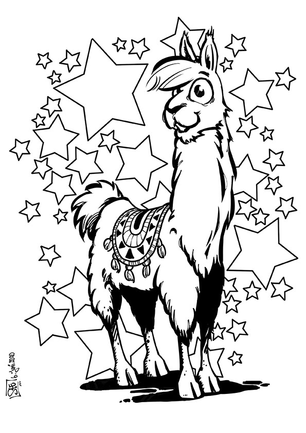 Bild12